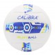 Molten beach volleybal Calibra Recife Maat 5 - Wit/Royal